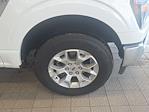2023 Ford F-150 SuperCrew Cab 4WD Pickup for sale #F4541 - photo 3