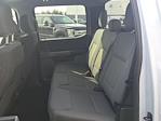 2025 Ford F-150 SuperCrew Cab 4WD Pickup for sale #F4591 - photo 17