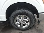 2025 Ford F-150 SuperCrew Cab 4WD Pickup for sale #F4723 - photo 3