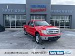 2013 Ford F-150 SuperCrew Cab 4x4, Pickup for sale #T41034C - photo 1