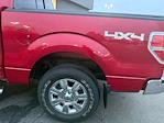 2011 Ford F-150 SuperCrew Cab 4WD Pickup for sale #T41309B - photo 13