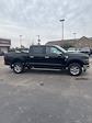 2024 Ford F-150 SuperCrew Cab 4x4, Pickup for sale #T41915 - photo 3