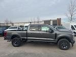 2024 Ford F-350 Crew Cab SRW 4x4, Pickup for sale #T42089 - photo 15