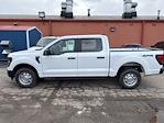 2024 Ford F-150 SuperCrew Cab 4x4, Pickup for sale #T42110 - photo 6