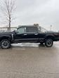 2024 Ford F-350 Crew Cab SRW 4x4, Pickup for sale #T42150 - photo 7