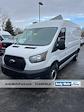 2024 Ford Transit 250 Medium Roof RWD, Empty Cargo Van for sale #T42161 - photo 1