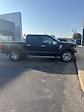 2024 Ford F-150 SuperCrew Cab 4WD Pickup for sale #T42194A - photo 5