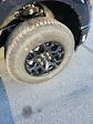 2025 Ford F-150 SuperCrew Cab 4x4 Pickup for sale #T42314 - photo 10