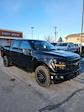 2025 Ford F-150 SuperCrew Cab 4x4 Pickup for sale #T42314 - photo 3