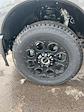 2025 Ford F-250 Crew Cab 4x4 Pickup for sale #T42435 - photo 13