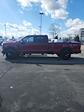 2025 Ford F-250 Crew Cab 4x4 Pickup for sale #T42457 - photo 7