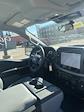 2025 Ford F-150 Regular Cab 4x2 Pickup for sale #T42484 - photo 26
