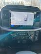 2025 Ford F-150 Regular Cab 4x2 Pickup for sale #T42486 - photo 15