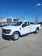 2025 Ford F-150 Regular Cab 4x2 Pickup for sale #T42490 - photo 8