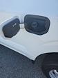 2025 Ford F-150 Regular Cab 4x2 Pickup for sale #T42491 - photo 19