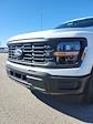 2025 Ford F-150 Regular Cab 4x2 Pickup for sale #T42491 - photo 9