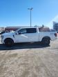 2025 Ford F-150 SuperCrew Cab 4x4 Pickup for sale #T42497 - photo 8