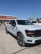 2025 Ford F-150 SuperCrew Cab 4x4 Pickup for sale #T42560 - photo 3