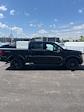 2025 Ford F-150 SuperCrew Cab 4x4 Pickup for sale #T42673 - photo 5