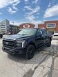 2025 Ford F-150 SuperCrew Cab 4x4 Pickup for sale #T42695 - photo 3