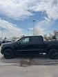 2025 Ford F-150 SuperCrew Cab 4x4 Pickup for sale #T42695 - photo 6