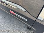 2024 Ford F-350 Crew Cab DRW 4x4 Pickup for sale #T42786C1 - photo 11