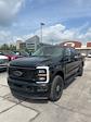 2025 Ford F-350 Crew Cab SRW 4x4 Pickup for sale #T42822 - photo 3