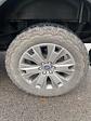 2017 Ford F-150 SuperCrew Cab 4WD Pickup for sale #T42902B - photo 8