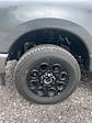 2025 Ford F-250 Crew Cab 4x4 Pickup for sale #T42918 - photo 12