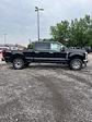 2025 Ford F-350 Crew Cab SRW 4x4 Pickup for sale #T42957 - photo 5