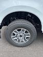 2025 Ford F-350 Crew Cab SRW 4x4 Pickup for sale #T42993 - photo 13