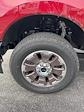 2025 Ford F-250 Crew Cab 4x4 Pickup for sale #T42995 - photo 14