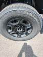 2025 Ford F-250 Crew Cab 4x4 Pickup for sale #T43012 - photo 10