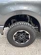 2025 Ford F-250 Crew Cab 4x4 Pickup for sale #T43033 - photo 13