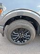 2025 Ford F-150 SuperCrew Cab 4x4 Pickup for sale #T43035 - photo 13
