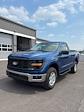 2025 Ford F-150 Regular Cab 4x4 Pickup for sale #T43060 - photo 3