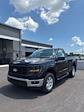 2025 Ford F-150 Regular Cab 4x4 Pickup for sale #T43062 - photo 3