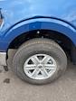 2025 Ford F-150 Regular Cab 4x4 Pickup for sale #T43065 - photo 12