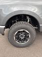 2025 Ford F-350 Crew Cab SRW 4x4 Pickup for sale #T43066 - photo 14
