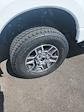2025 Ford F-350 Crew Cab SRW 4x4 Pickup for sale #T43098 - photo 11