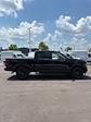 2025 Ford F-150 SuperCrew Cab 4x4 Pickup for sale #T43099 - photo 5
