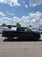 2025 Ford F-150 SuperCrew Cab 4x4 Pickup for sale #T43101 - photo 5