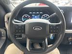 2024 Ford F-250 Regular Cab 4x2 Pickup for sale #T43103A - photo 34