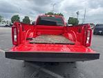 2024 Ford F-250 Regular Cab 4x2 Pickup for sale #T43103A - photo 9