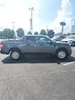 2025 Ford Maverick SuperCrew Cab FWD Pickup for sale #T43119 - photo 5