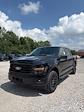 2025 Ford F-150 SuperCrew Cab 4x4 Pickup for sale #T43129 - photo 3