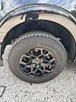 2025 Ford F-150 SuperCrew Cab 4x4 Pickup for sale #T43135 - photo 13
