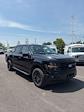 2025 Ford F-150 SuperCrew Cab 4x4 Pickup for sale #T43144 - photo 1