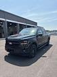 2025 Ford F-150 SuperCrew Cab 4x4 Pickup for sale #T43144 - photo 3
