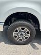 2025 Ford F-350 Crew Cab SRW 4x4 Pickup for sale #T43147 - photo 13